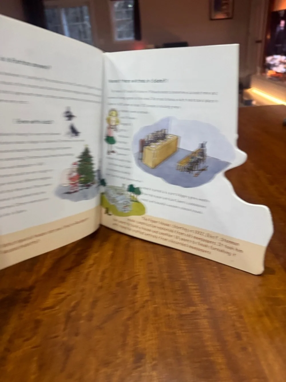 Massachusetts State Shapes Children's Book - Green Cover